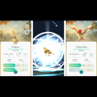 Pokemon Go Gold Team